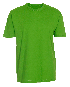 STORM ST101 Classic T-Shirt lime